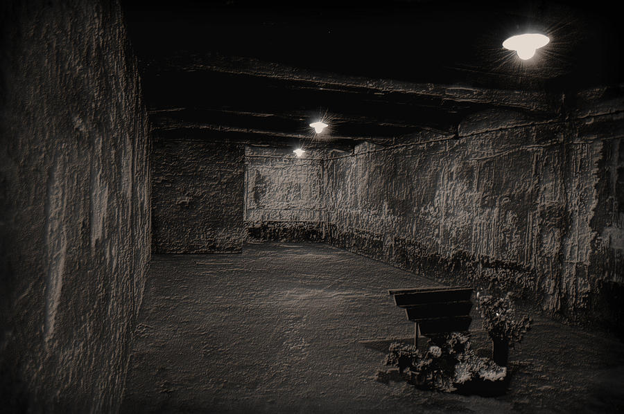 Auschwitiz - Gas Chamber Photograph by Wayne Higgs