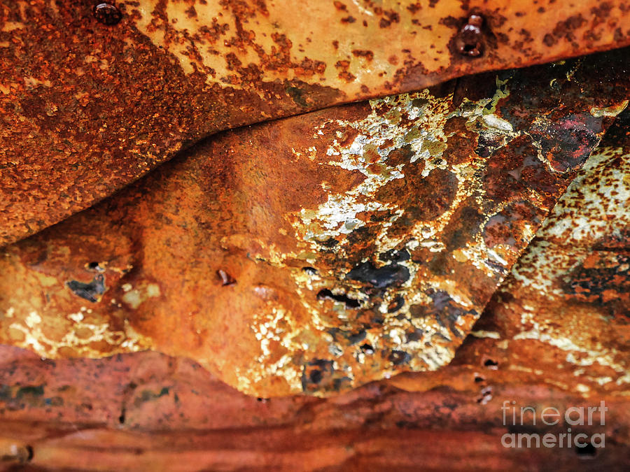 Aussie Galvanised Iron #20 Photograph by Lexa Harpell