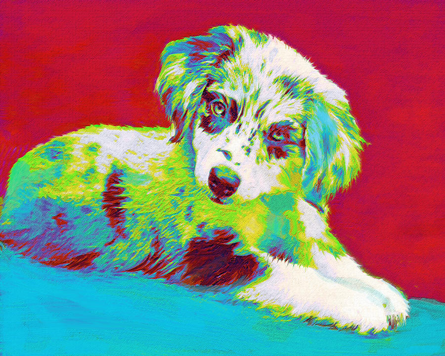 Dog Digital Art - Aussie Puppy by Jane Schnetlage