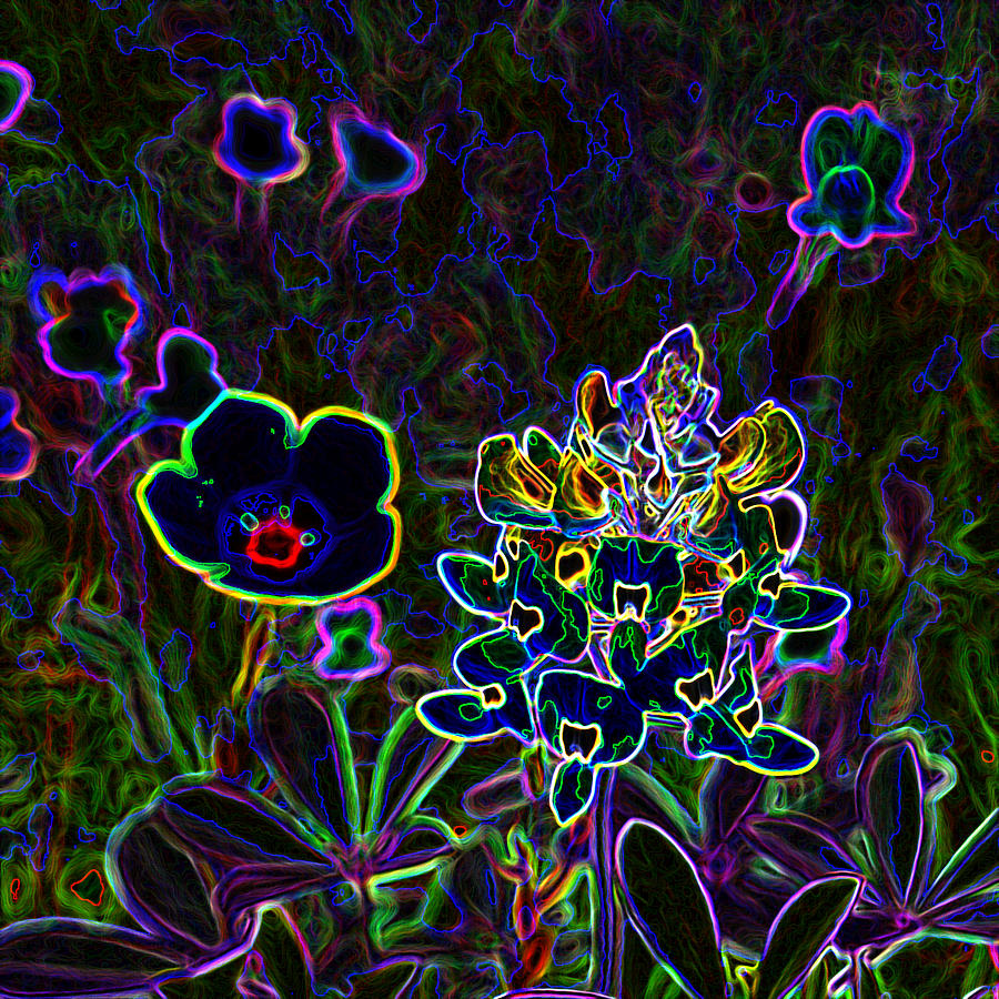 Austin Flowers After The Party Digital Art by James Granberry