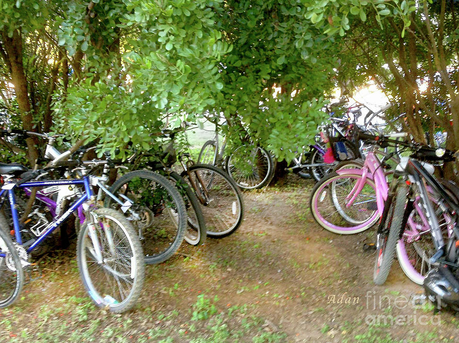 Austin Hike and Bike Trail - Zilker Park Bicycles - Easy Parking Photograph by Felipe Adan Lerma