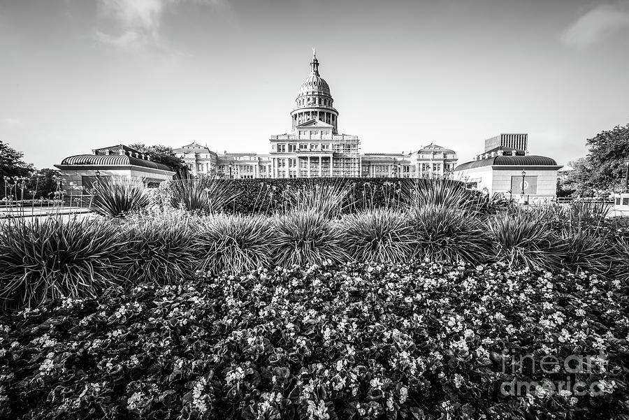 Austin Texas State Capitol Building Black and White Photo Photograph by Paul Velgos