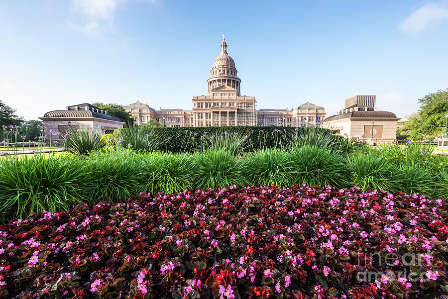 Austin Texas State Capitol Building Flowers Photograph by Paul Velgos