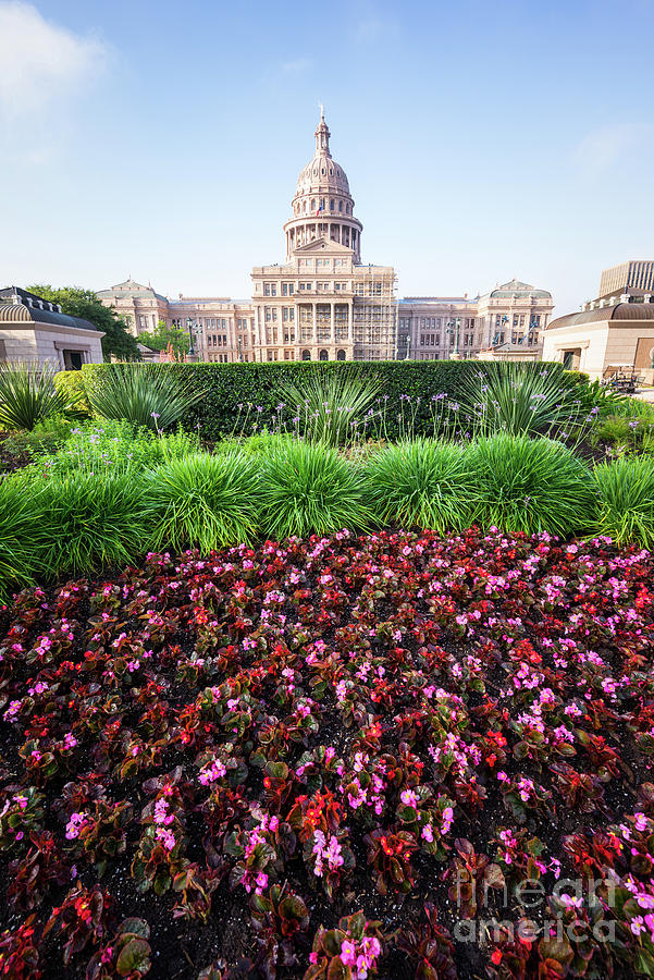 Austin Texas State Capitol Flowers Photograph by Paul Velgos