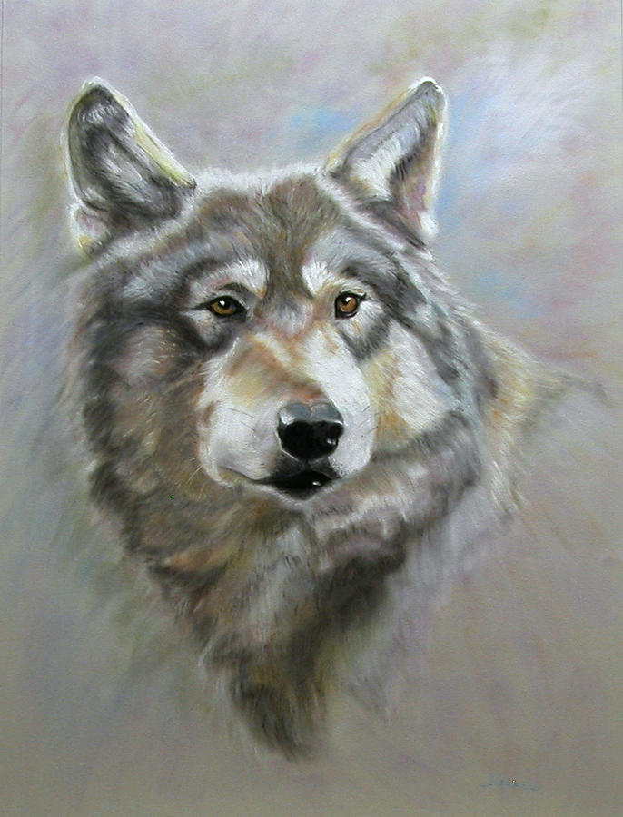 Wildlife Pastel - Austins wolf by Laura Gabel Wildlife Pastel - Austins wolf by Laura Gabel