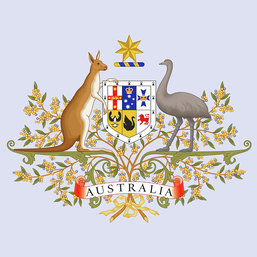 Australia Coat of Arms Drawing by Movie Poster Prints