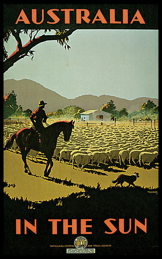 Sheep Photograph - Australia In the Sun by Percy Tromp