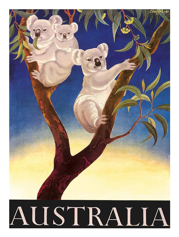 Koala Digital Art - Australia Koala Vintage World Travel Poster by Eileen Mayo by Retro Graphics