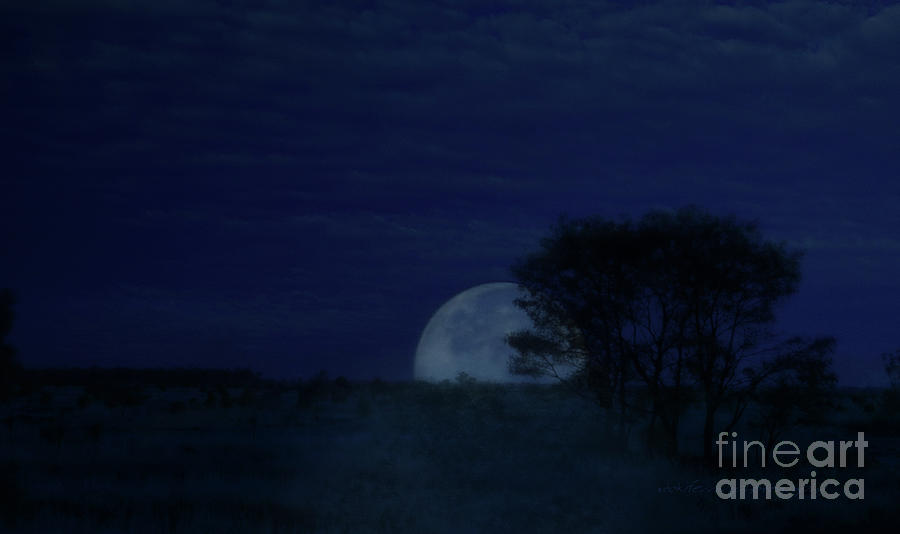 Australian Blue Moon Photograph by Vicki Ferrari