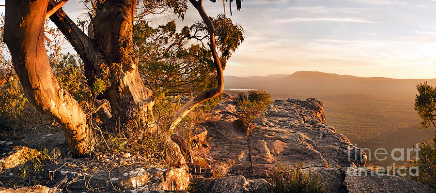 Mountain Photograph - Australian Bush Landscape Panorama by THP Creative