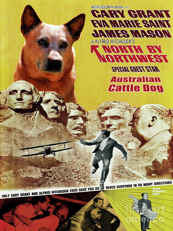 Australian Cattle Dog Art Canvas Print - North By Northwest Movie Poster Painting by Sandra Sij