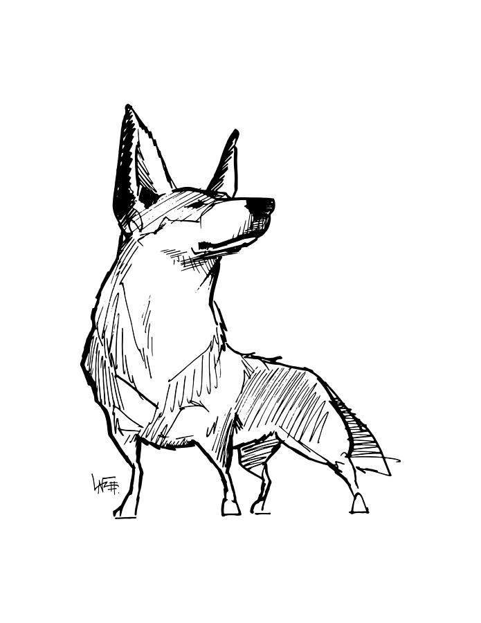 Australian Cattle Dog Gesture Sketch Drawing by John LaFree