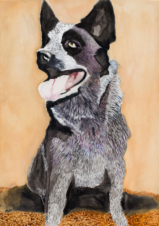 Animal Painting - Australian Cattle Dog by Marcella Morse