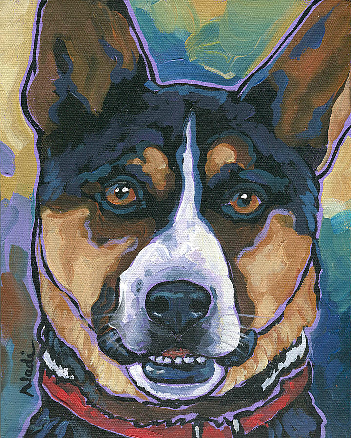 Australian Cattle Dog Painting by Nadi Spencer