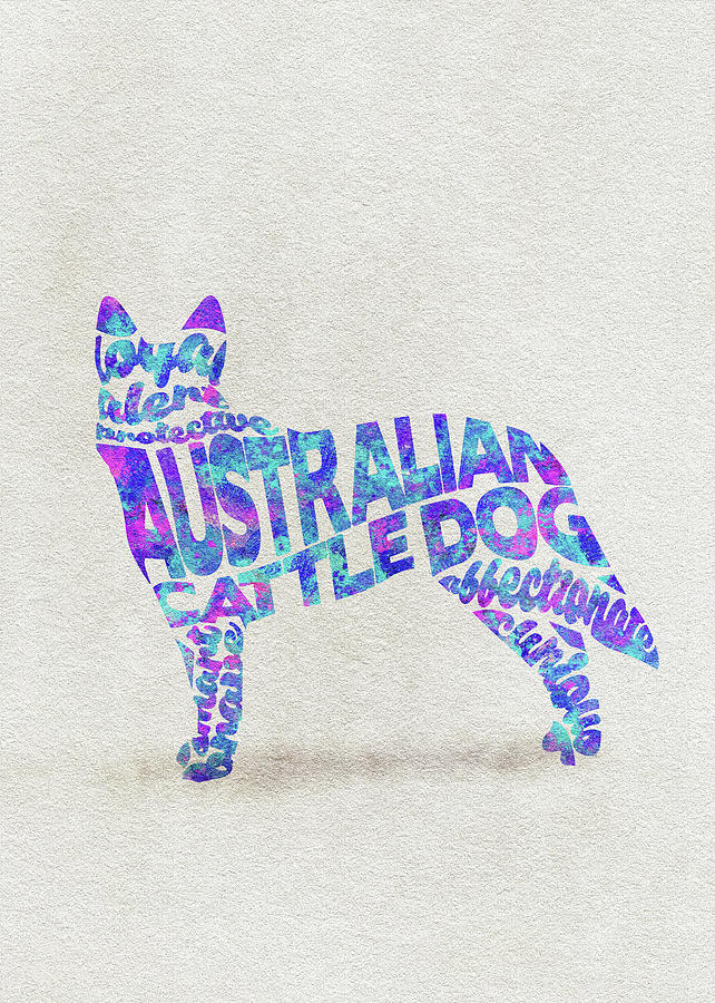 Australian Cattle Dog Watercolor Painting / Typographic Art Painting by Inspirowl Design