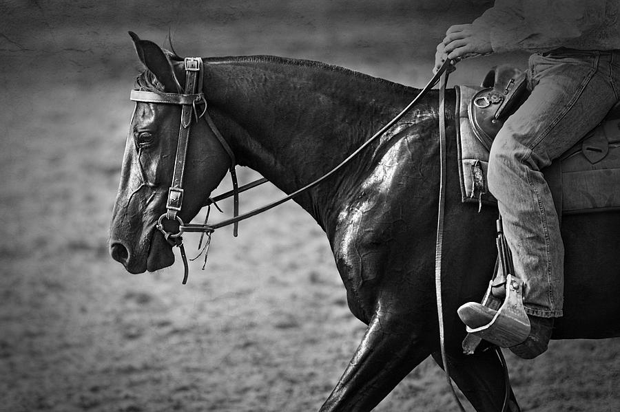 Australian Cowboy Photograph by Michelle Wrighton