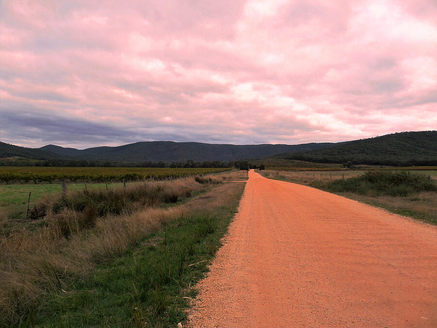 Australian Driveway Photograph by Yolanda Caporn