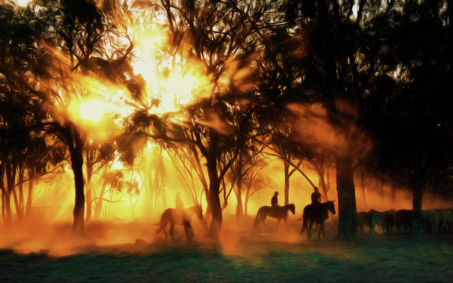 Horse Digital Art - Australian Morning At Sunrise by Georgiana Romanovna