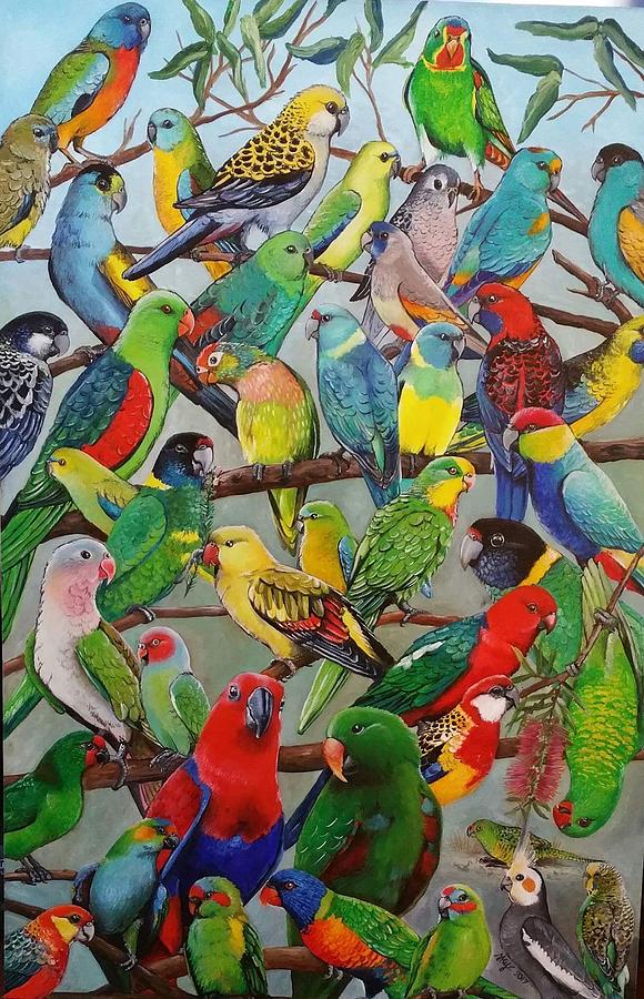 Australian Parakeets Painting by Tranter