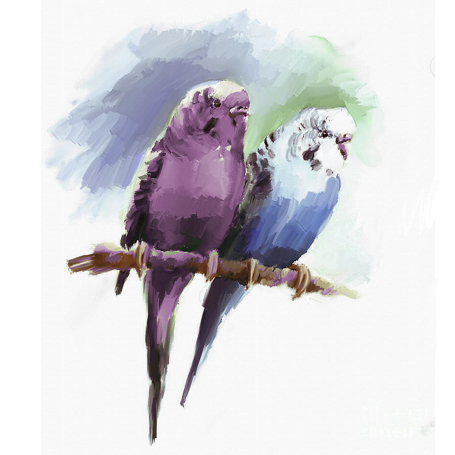 Parrot Painting - Australian Parrot by Gull G