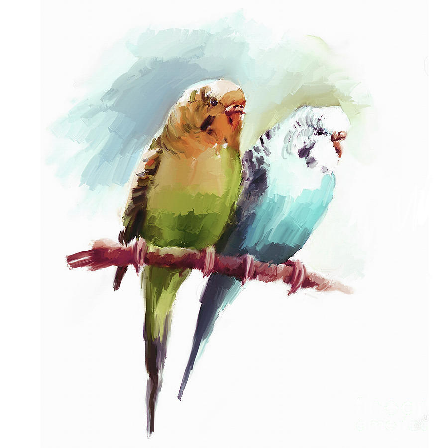 Australian Parrots 03 Painting by Gull G