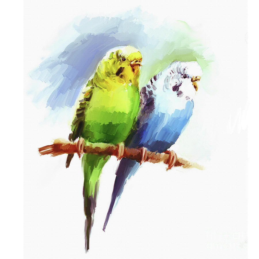 Волнистые попугайчики акварель
