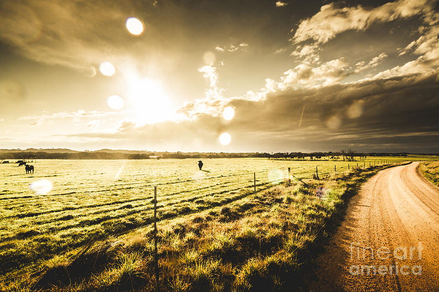Australian rural dirt road  Photograph by Jorgo Photography