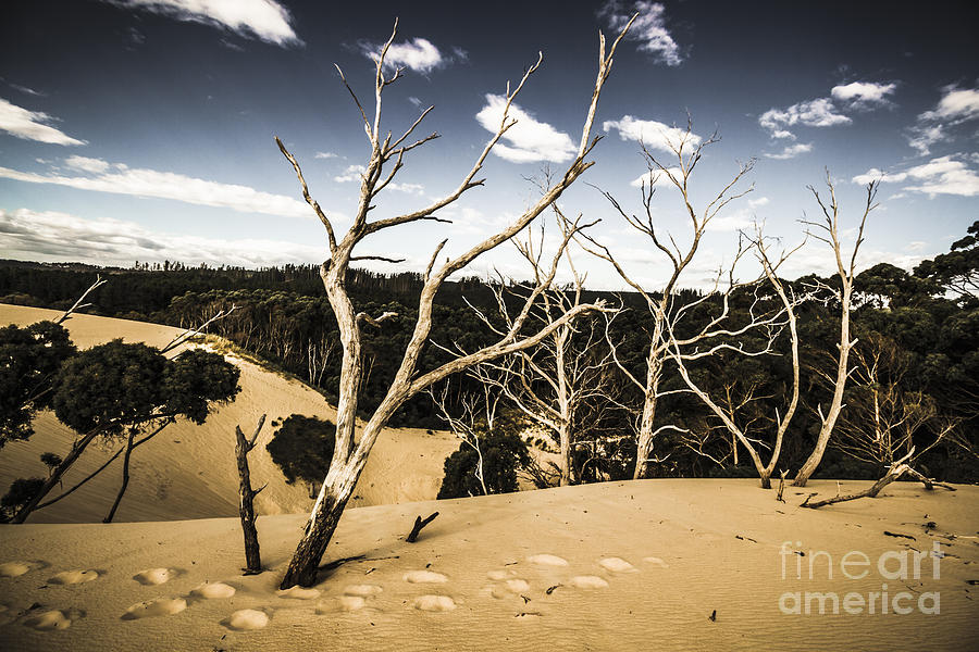 Australian Sand Plateau Photograph