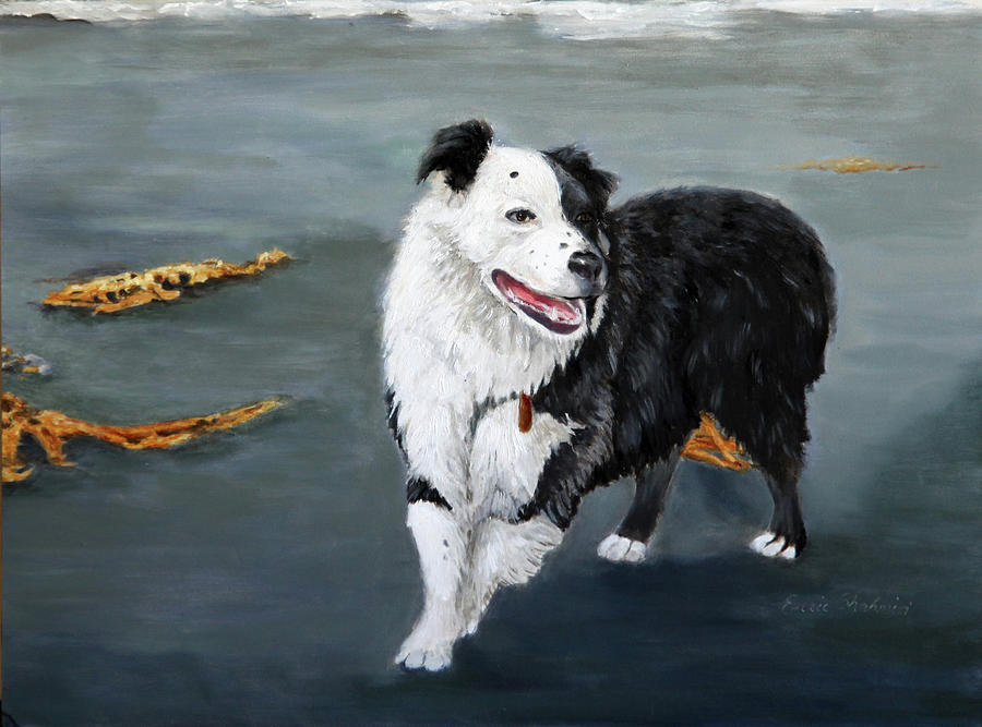 Australian Shepard Border Collie Painting by Portraits By NC