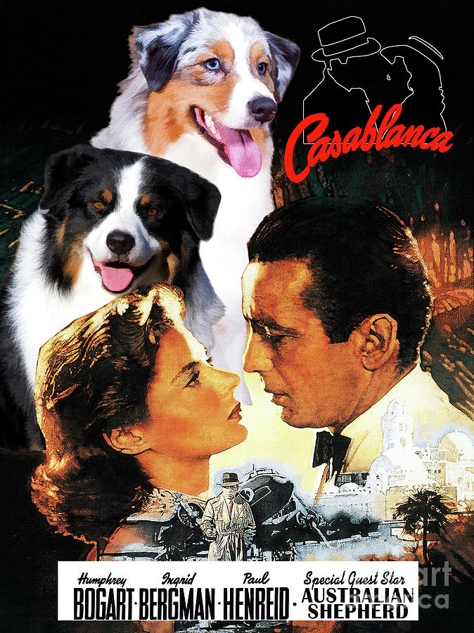 Casablanca Movie Painting - Australian Shepherd Art -  Casablanca Movie Poster  by Sandra Sij