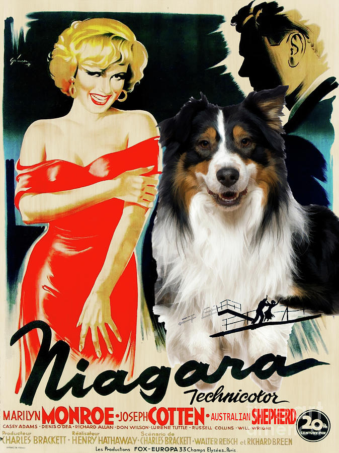 Australian Shepherd Art -  Niagara Movie Poster Painting by Sandra Sij