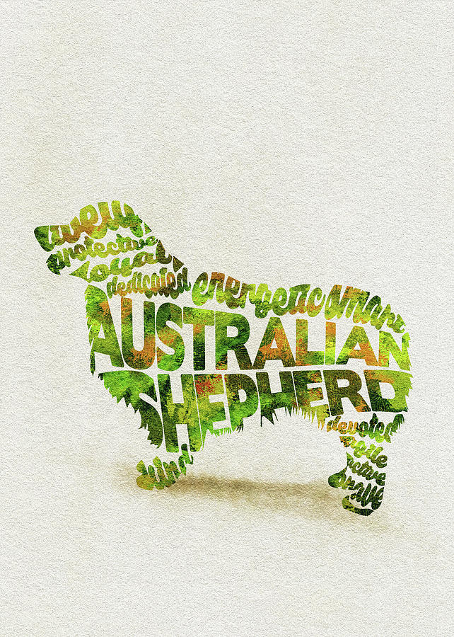 Australian Shepherd Dog Watercolor Painting / Typographic Art Painting by Inspirowl Design