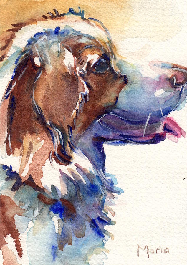 Australian Shepherd Puppy Painting by Maria Reichert