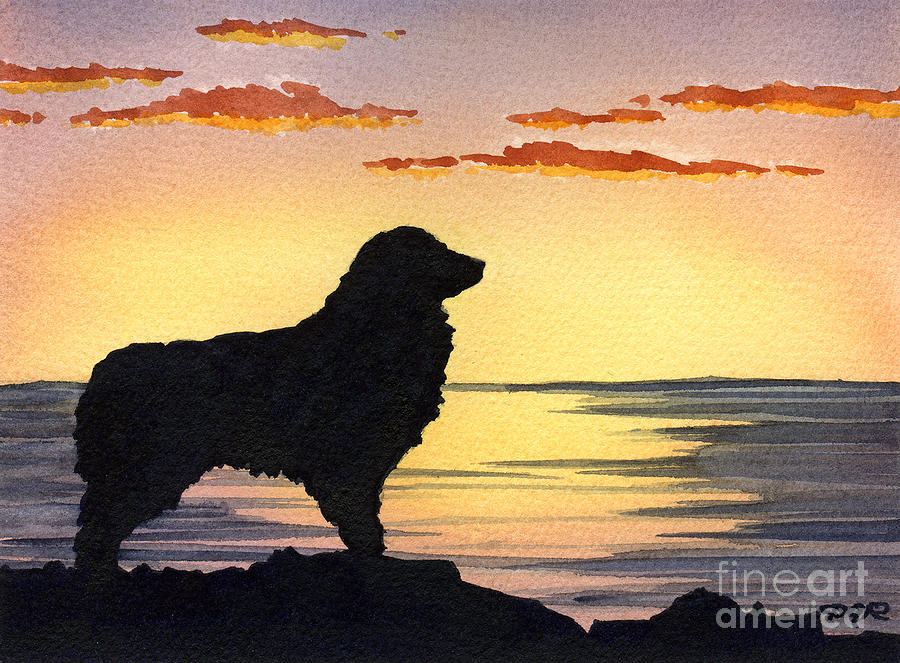 Sunset Painting - Australian Shepherd Sunset by David Rogers