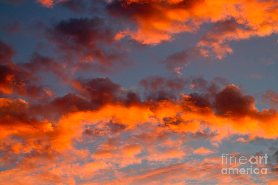 Sunset Photograph - Australian Sunset by Louise Heusinkveld