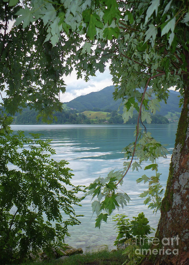 Austrian Lake through the Trees Photograph by Carol Groenen