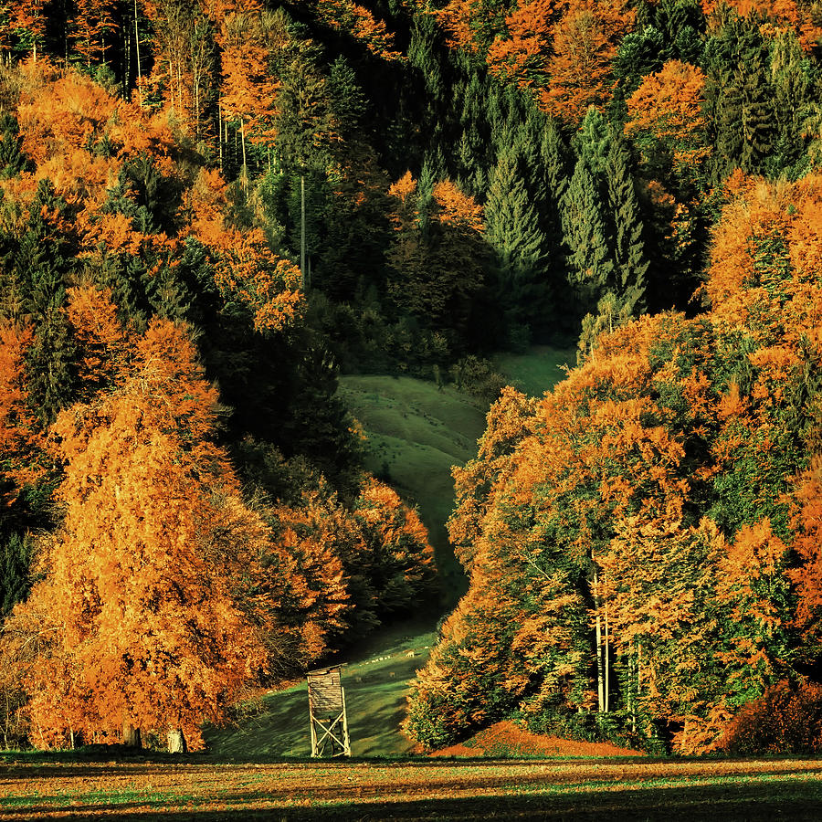 Austrian Mountain Valley In Autumn Photograph by Mountain Dreams