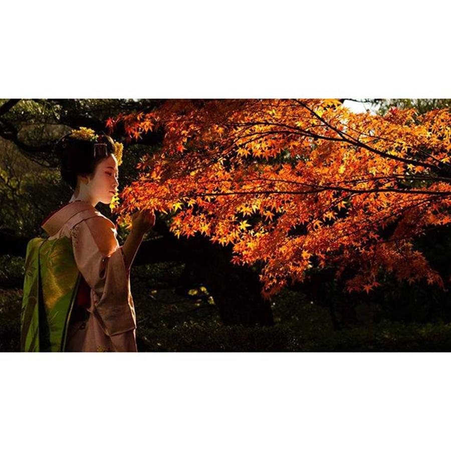 Beautiful Photograph - Author Japanexperterna.se　#kimono by Kanna Fairy