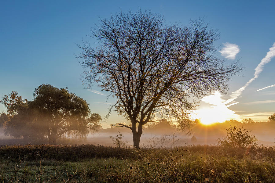 Autmn Morning with Fog Photograph by John McGraw