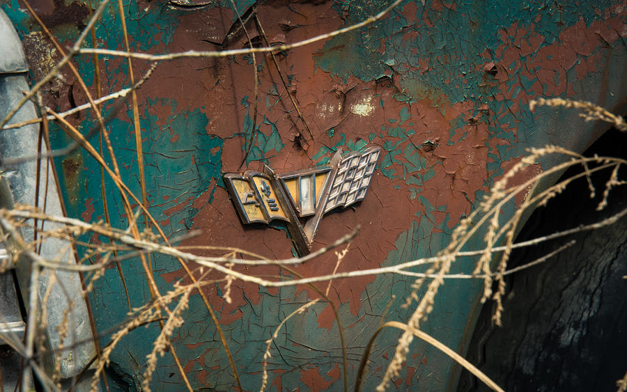 Automotive decay Photograph by Valerie Cason