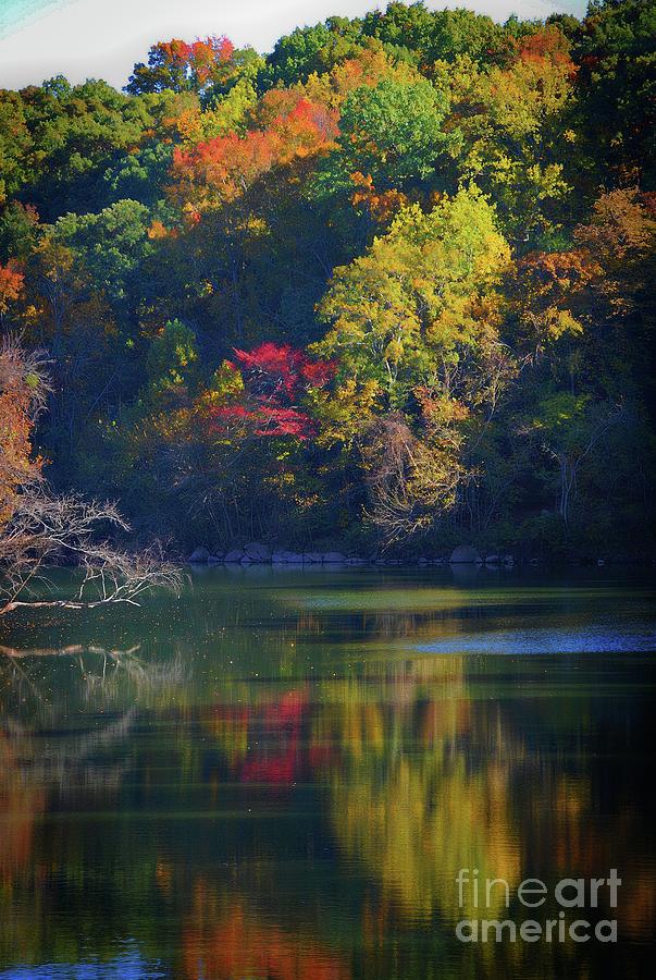 Tree Photograph - Autuminal Reflections by Skip Willits