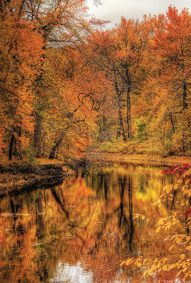 Autumn - Landscape - Autumn in New Jersey Photograph by Mike Savad