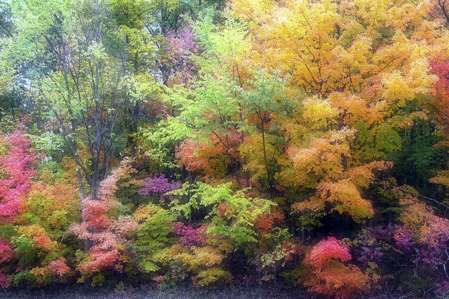Fall Photograph - Autumn 2 - 16Oct2016 by Jim Vance