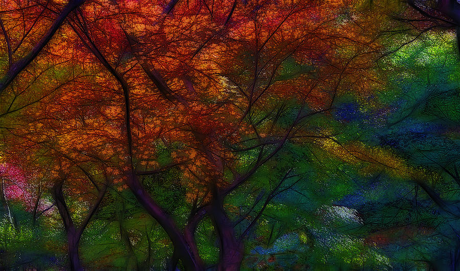 Nature Digital Art - Autumn 2 by Jean-Marc Lacombe