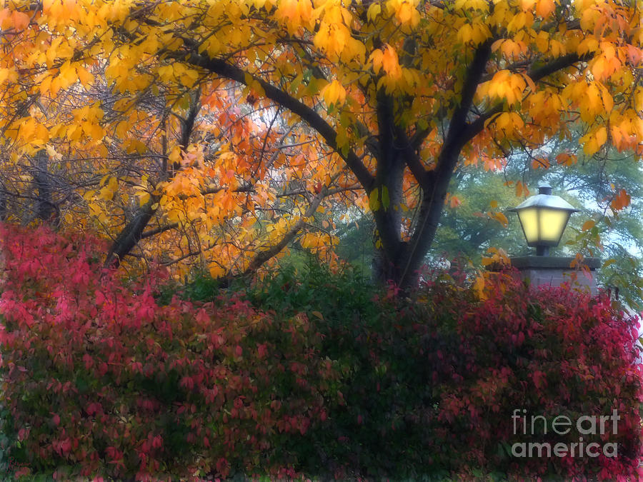 Autumn 3 Photograph by Jeff Breiman