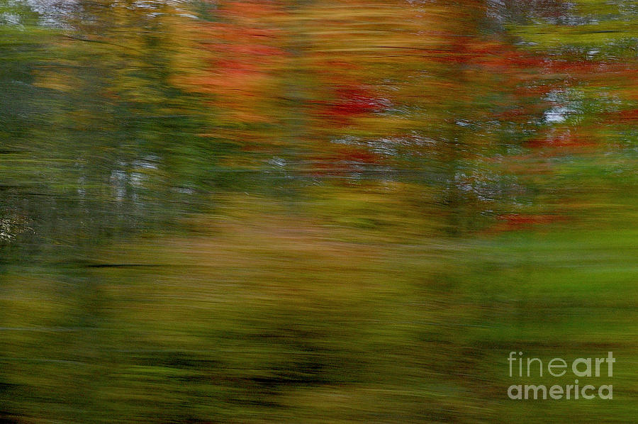 Autumn Abstract #2 by Randy Pollard Autumn Abstract #2 by Randy Pollard