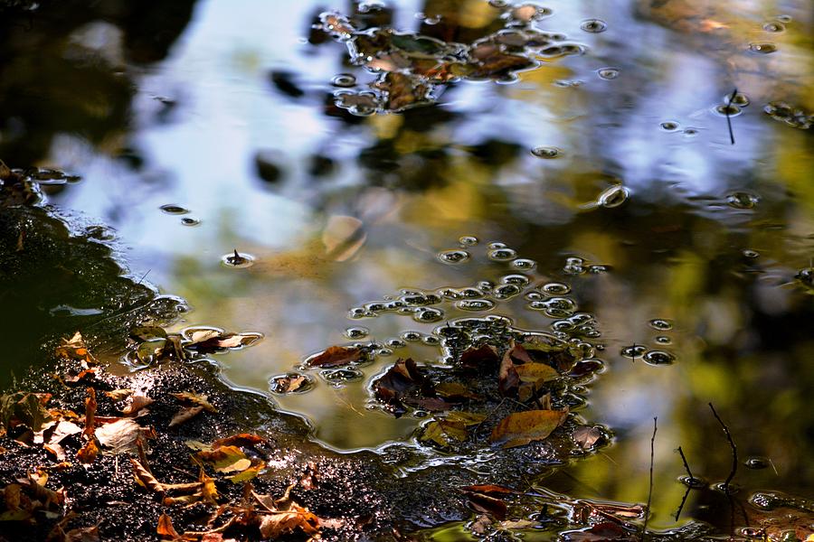 Abstract Photograph - Autumn Abstract at Creek by Karen Majkrzak