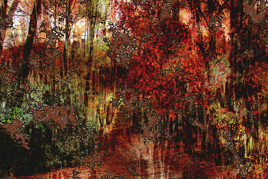 Autumn Abstract Photograph by HH Photography of Florida
