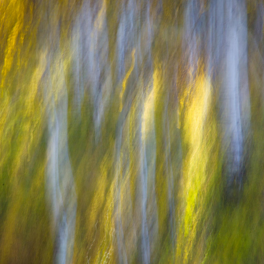 Autumn Abstract Photograph by James Woody