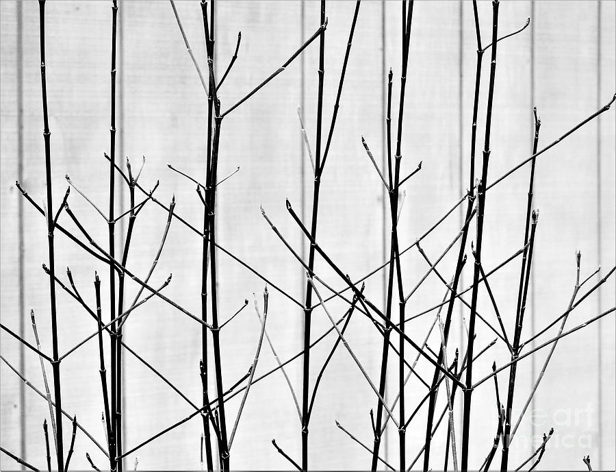 Autumn Abstract Digital Art by Jan Gelders Autumn Abstract Digital Art by Jan Gelders